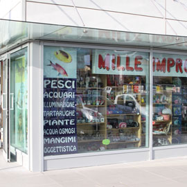 immagini del nuovo negozio di animali a Rosignano Solvay